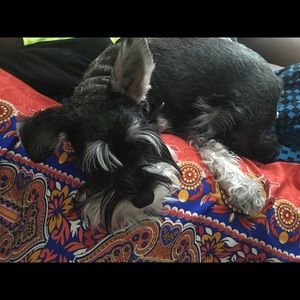 Meet your Posher, Quinn